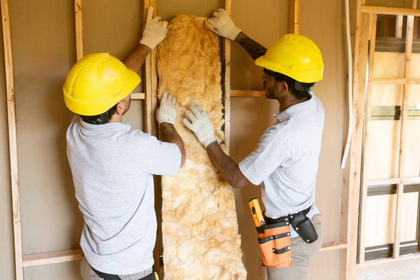 Insulation Replacement Services in Sheffield Lake, OH